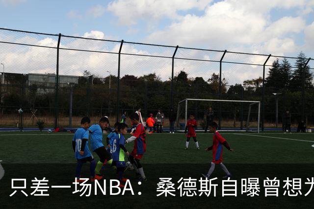 只差一场NBA：桑德斯自曝曾想为老鹰打一场，总经理没点头